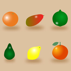 set of citrus fruits