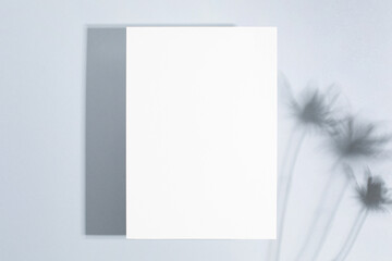 Template paper with green plant shadow on pastel beige background , great design for any purposes. Abstract background. Banner template. Advertising 