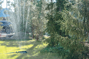 Watering lawn. Irrigation system lawn sprinkler spray water over fresh green grass in garden on summer morning in light outdoors sun with natural blurry background. Close-up, wide format, copy space.