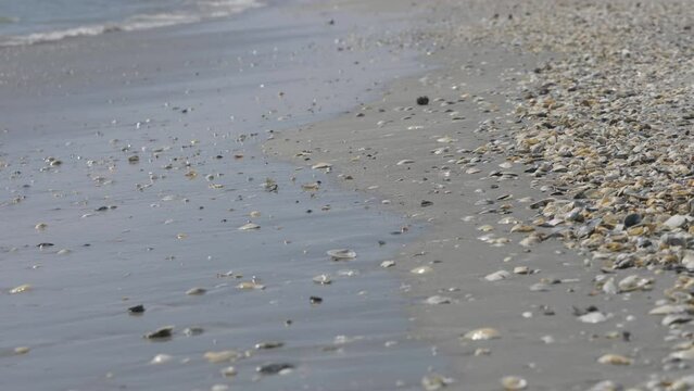 Shells and sand on beach, sea waves
