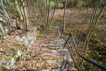 German nature in spring, photographed in the Bavarian Forest