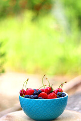 Bowl filled with strawberries, blueberries and cherries in the garden. Selective focus.