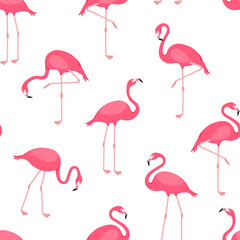 Flamingo vector seamless pattern, pink bird background, tropical summer print. Cute animal wallpaper. Cartoon fashion texture. Exotic illustration