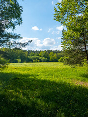 field and sky