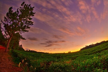 hdr sunset