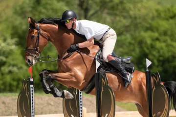 Foto op Canvas Horse Jumping, Equestrian Sports, Show Jumping themed photo. © muro