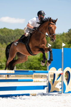 Horse Jumping, Equestrian Sports, Show Jumping themed photo.