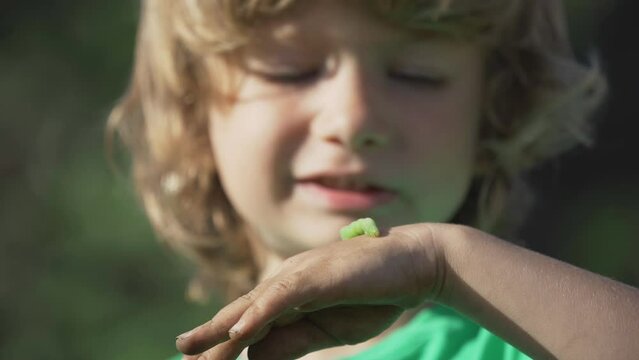 Close portrait of kid studying a green caterpillar moving on his hand