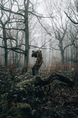 Fototapeta premium Nebel im Winter in einem Wald Stimmungvoll