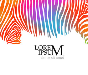 Background of colored zebra stripes. Background for text. Vector illustration