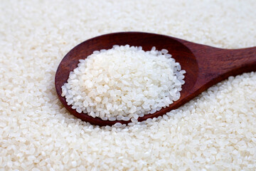 uncooked japan rice with wooden spoon