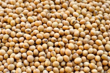 Soybean, Soy is a high quality protein
