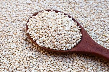 Barley grain with wooden spoon