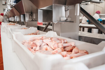The meat factory.Automated production line in modern food factory.Containers on a conveyor line...