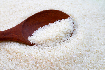 Uncooked Japanese rice with wooden spoon