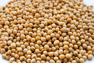 Soybean, Soy is a high quality protein