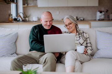 Cheerfull senior couple sitting home on sofa and using laptop