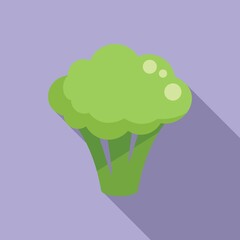 Broccoli icon flat vector. Cabbage food