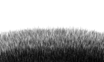 草原　モノクロ　背景　イラスト