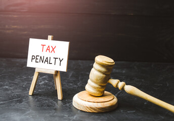 Tax penalty. Appointment of court punishment for non-payment of taxes and avoidance. Underpayment...