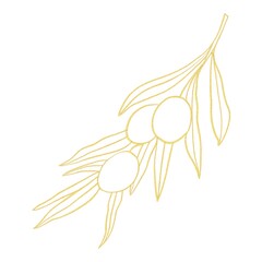 illustration of a gold olives branch