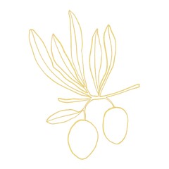 Gold line art with olives branch on white background 