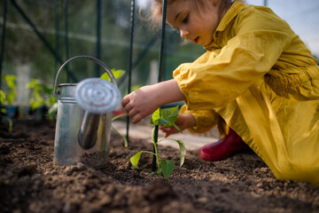 Little girl planting organic pepper plants in eco greenhouse, learn gardening and sustainable lifestyle. © Halfpoint