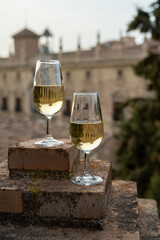 Tasting of sweet and dry fortified Vino de Jerez sherry wine with view on roofs and houses of old andalusian town