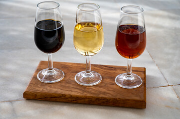 Tasting of Spanish sweet and dry fortified Vino de Jerez sherry wine