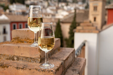 Tasting of sweet and dry fortified Vino de Jerez sherry wine with view on roofs and houses of old andalusian town