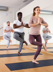 Fototapeta na wymiar Multiethnic group of people exercising yoga poses in gym.