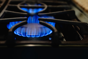 Close-up shot of gas flames burning from a kitchen stove