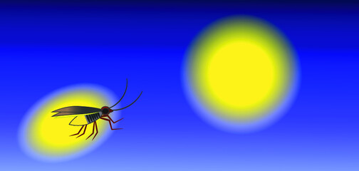 Obraz premium Beautiful firefly spread wings and light at the end of the body. design Insect beetle firefly. Vector set of simple cartoon drawings with different angles and elements.