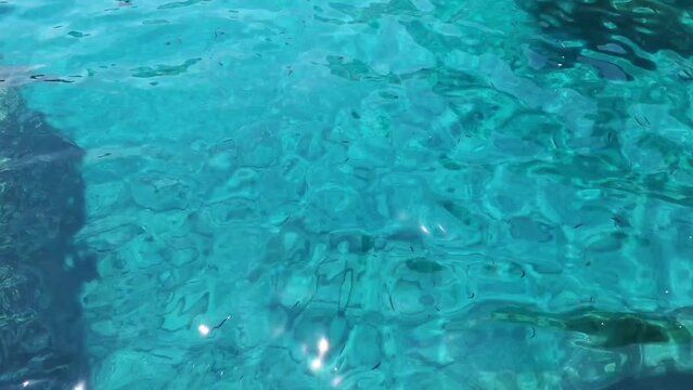 Beautiful crystal clear blue water is moving during summertime.