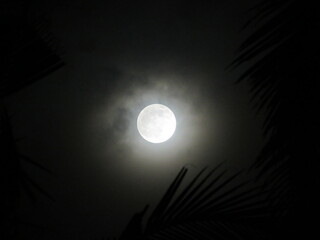 Cloudy full moon night in the tropics