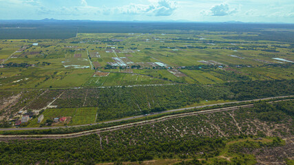 Fototapeta premium Aerial drone view of paddy plantations land scenery in Kuala Rompin, Pahang, Malaysia