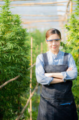 A portrait of a scientist examining a hemp plant in a greenhouse. Concept of alternative herbal medicine, CBD oil, pharmaceutical industry