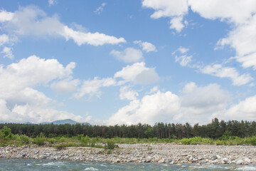 信州の川と林と空