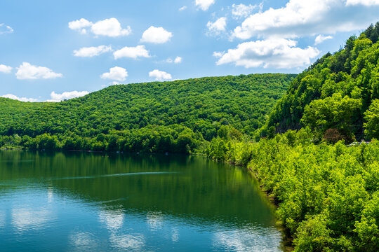 Part of the forest of the Allegheny National Forest and the Allegheny Reservoir in Warren, Pennsylvania, USA on a sunny spring day