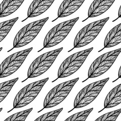 Leaves seamless vector pattern. Botanical element with veins on the stem. Monochrome sketch of a garden plant. Avocado tree leaf outline. Hand drawn illustration isolated on white background