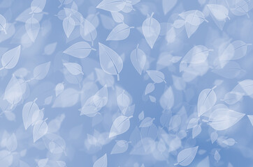 Pale blue gradient bokeh glitter light background with leaf theme background. Ideal for web dispaly,advertising, card etc., 