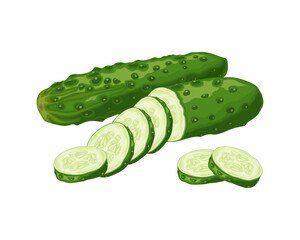 Green cucumber. Image of a ripe sliced green cucumber. Green vegetarian product. Vector illustration isolated on a white background