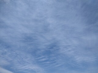 東京のそら(22.6.1)