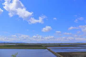 田園