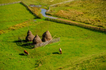 Rural