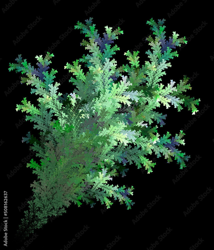 Poster abstract green branch of cypress or spruce diagonally on a black background. graphic design element.