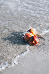 nectarine on the beach