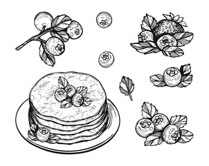 blueberry pancake vector sketch. pancakes with blueberries vector hand drawing doodles