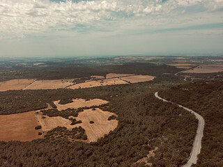 campi pugliesi