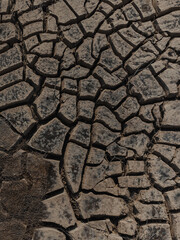 Drone shot of a dry paradise
